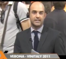 Vinitaly 2011 (Verona)